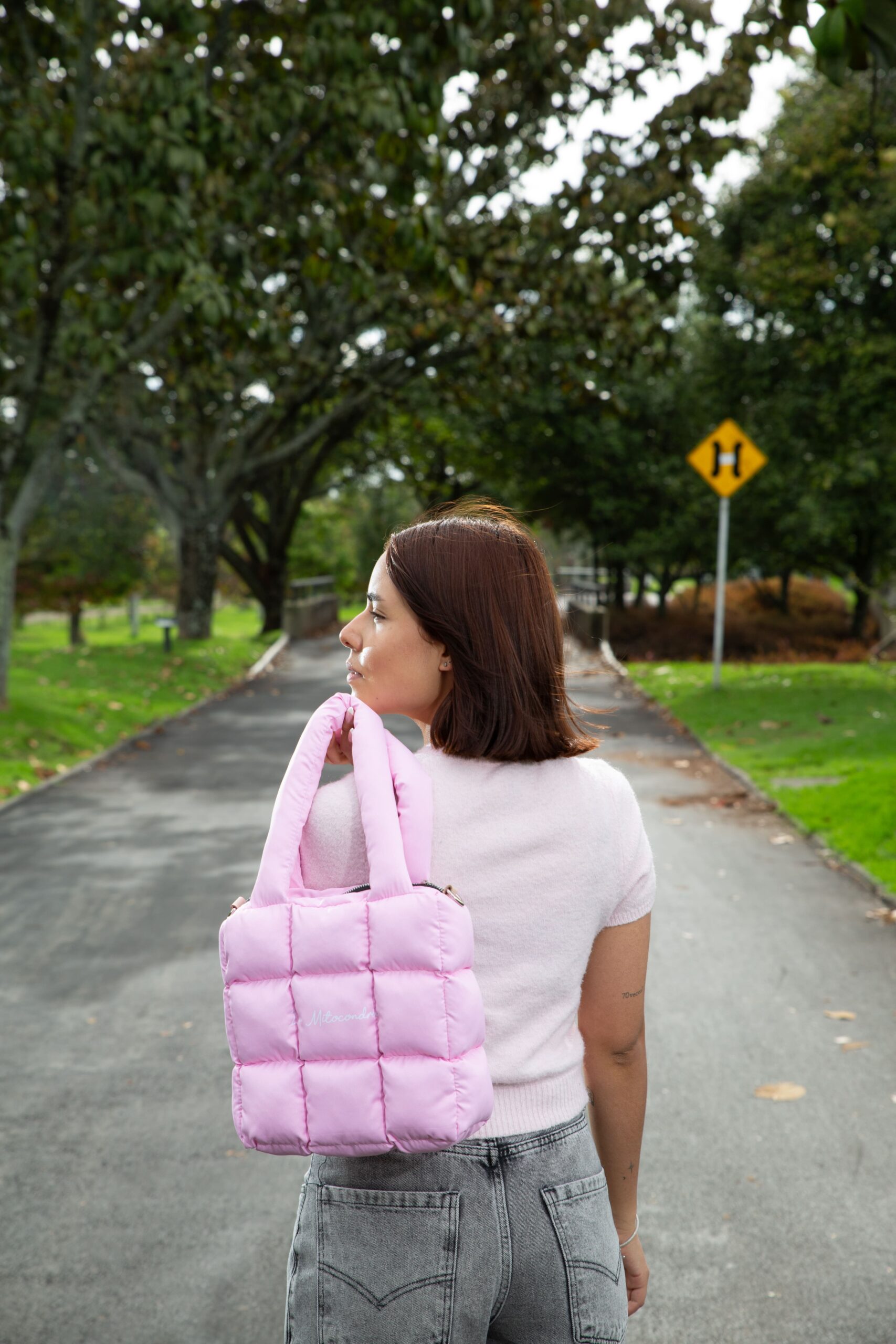 Mini Rosado - Image 3